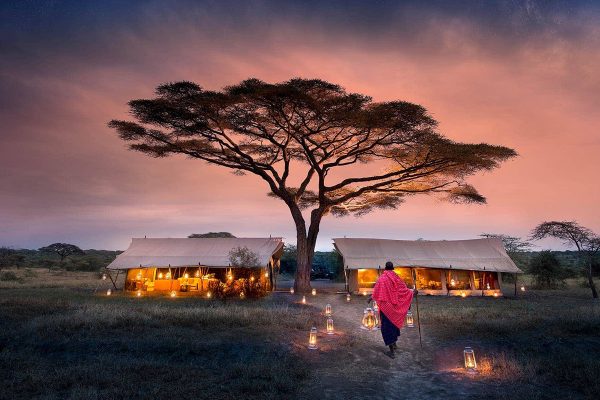 5-Day Safari in Tanzania