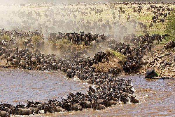 4-Day Safari in Tanzania