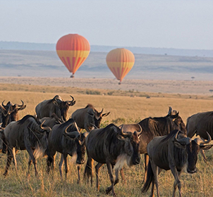 Serengeti