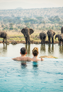 Luxury Safaris