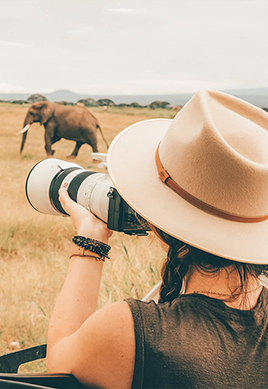 Photography Safaris